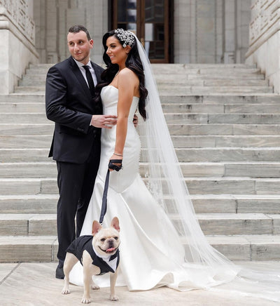 The Bride and Her Adorable Doggie Friends